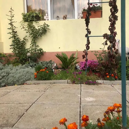 House In The Village In Bulgaria